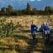 Agda strives towards an inclusive agri sector