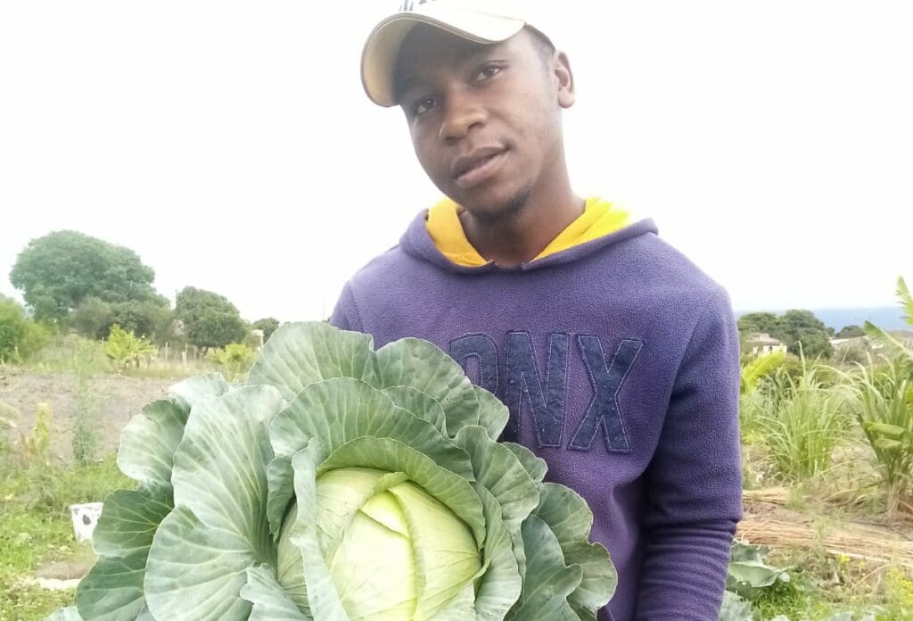 Umfama uMahlatse uyakuvuyela oko anako