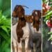 This week’s agri events: 20 to 24 March 2023