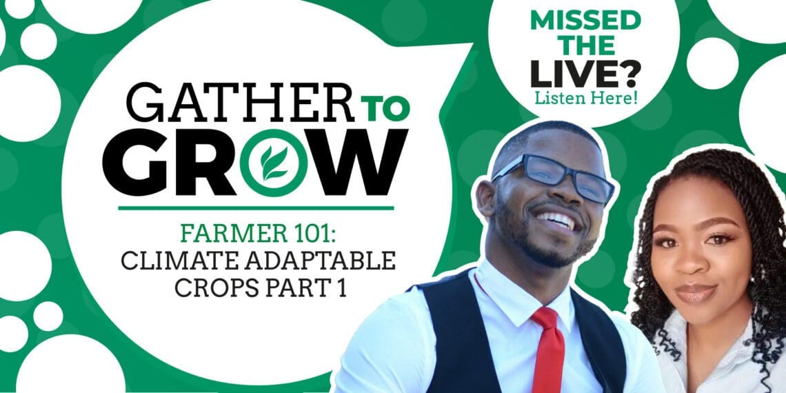 This week’s events include a Gather To Grow session on Twitter, a roundtable conversation on nutrition and food security, an energy and agriculture conference, another on regenerative agriculture, the Grain SA Congress, and a farm festival. Photo:Supplied/Food For Mzansi