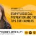 Podcast: Staying on top of livestock diseases