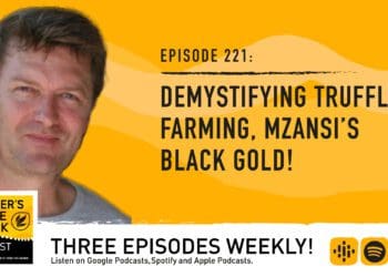 Podcast: How to grow truffles, SA's black gold