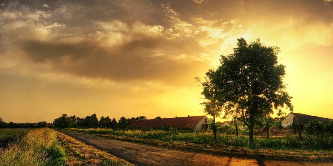 2024: Mzansi's farmers hope for less pain and more gain