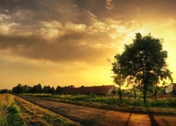 2024: Mzansi's farmers hope for less pain and more gain