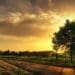 2024: Mzansi's farmers hope for less pain and more gain