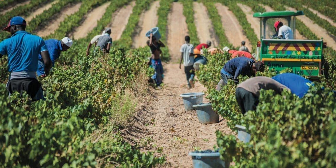 Reality: Rights of farmworkers are not respected