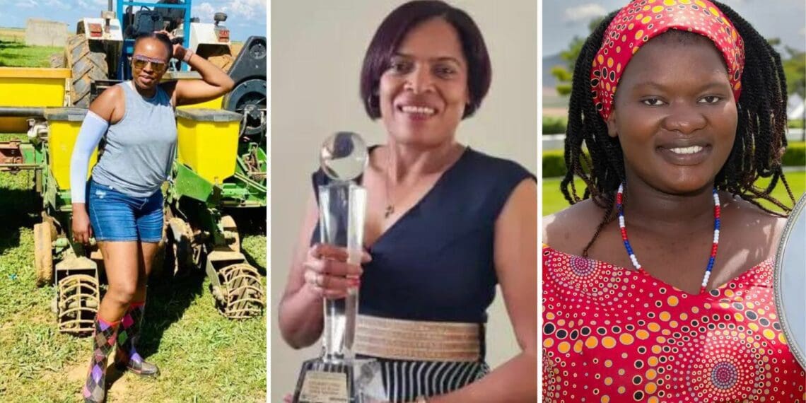 Human Rights: Female farming heroes sparkle