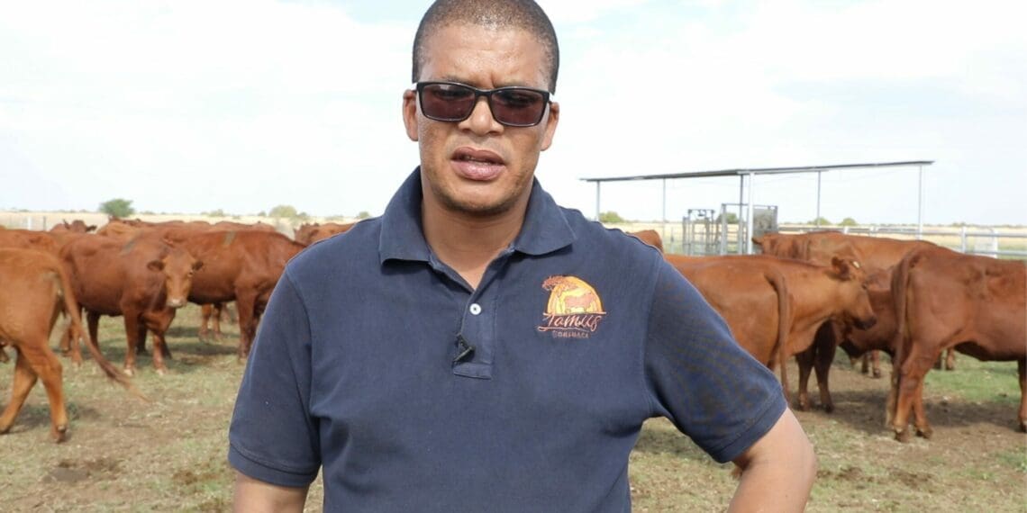 Uzimisele ngokufinyelela esicongweni umfuyi waseVryburg, eNorth West, uMnuz Boikanyo Christopher Melamu. Kodwa akafuni ukukhuphuka yedwa