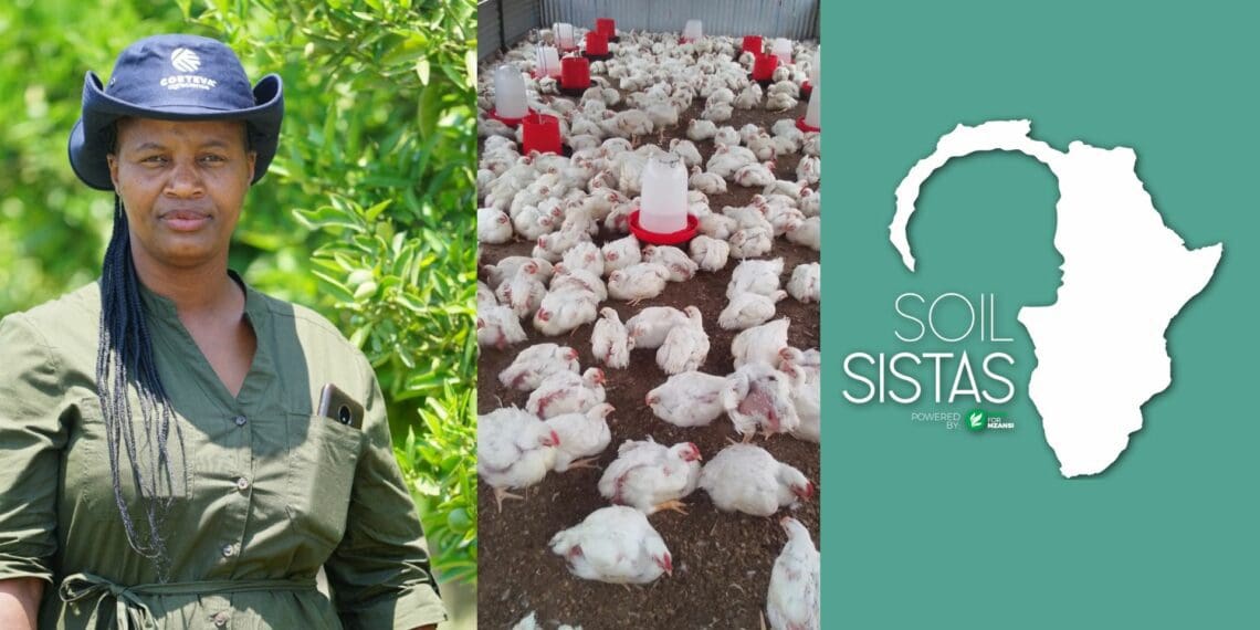 It's a poultry paradise for #SoilSista Mbatha