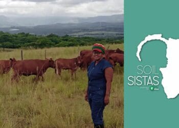 Gritty #Soilsista Gininda finds peace in farming