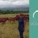 Gritty #Soilsista Gininda finds peace in farming