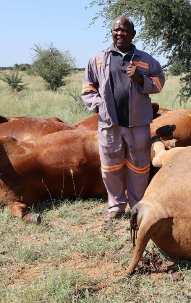 North West livestock farmer Vincent Lobaleng lost R280 000 after lightning struck and killed his cattle. Photo: Supplied/Aobakwe Selebogo