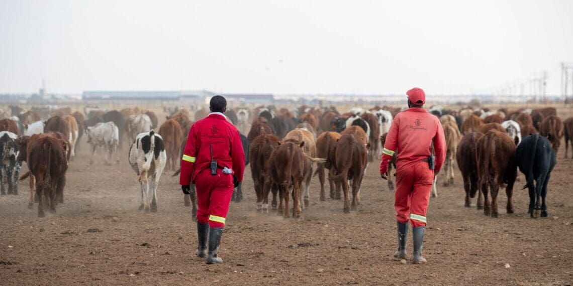 Land Bank: Rejected farmers eclipse approved