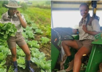 Brave Sikundla dusts herself off and tries again