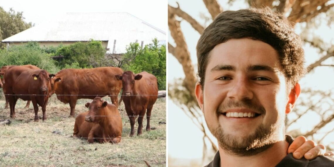 Kukkuk forges new path for EC red meat sector