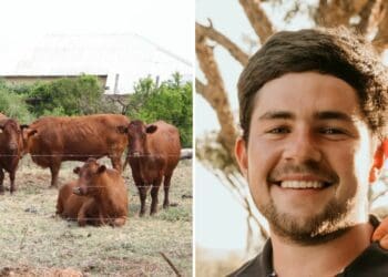 Kukkuk forges new path for EC red meat sector