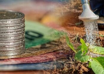 ICYMI: Declare your wages electronically ASAP!