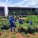 Agroforests: TERRAGRN plans to transform up to 200 000 hectares of unused land in the coal-mining heartland of Mpumalanga. Photo: Supplied/Food For Mzansi