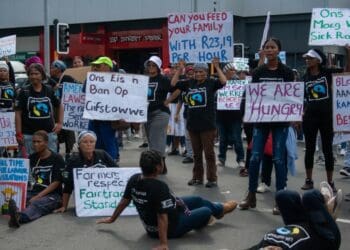 Cape farms under scrutiny for labour violations