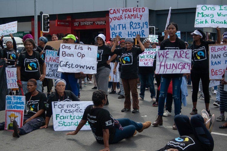 Cape farms under scrutiny for labour violations