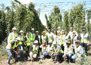 Hop farmers winning, but not beer brewers