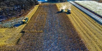 Regenerative agri: Farming a decade from now