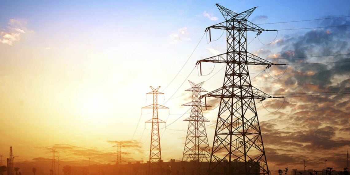 Load shedding, floods dent agripreneur's spirit