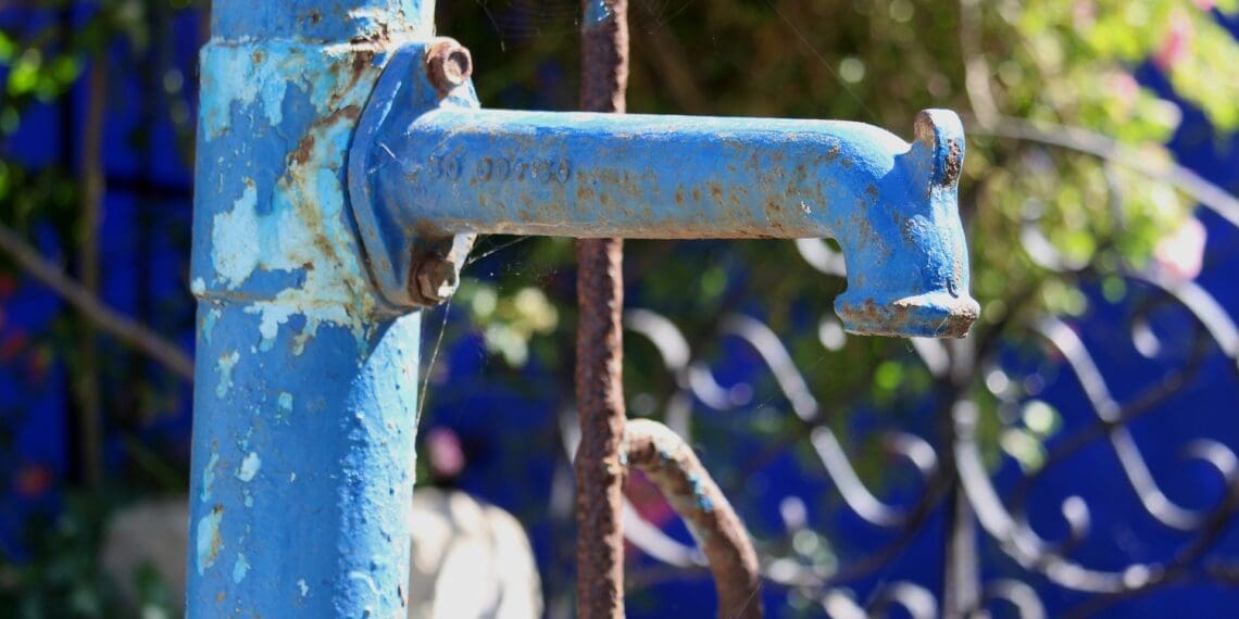 ICYMI: Jozi’s water woes takes its toll on agri