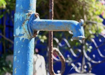 ICYMI: Jozi’s water woes takes its toll on agri