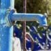 ICYMI: Jozi’s water woes takes its toll on agri