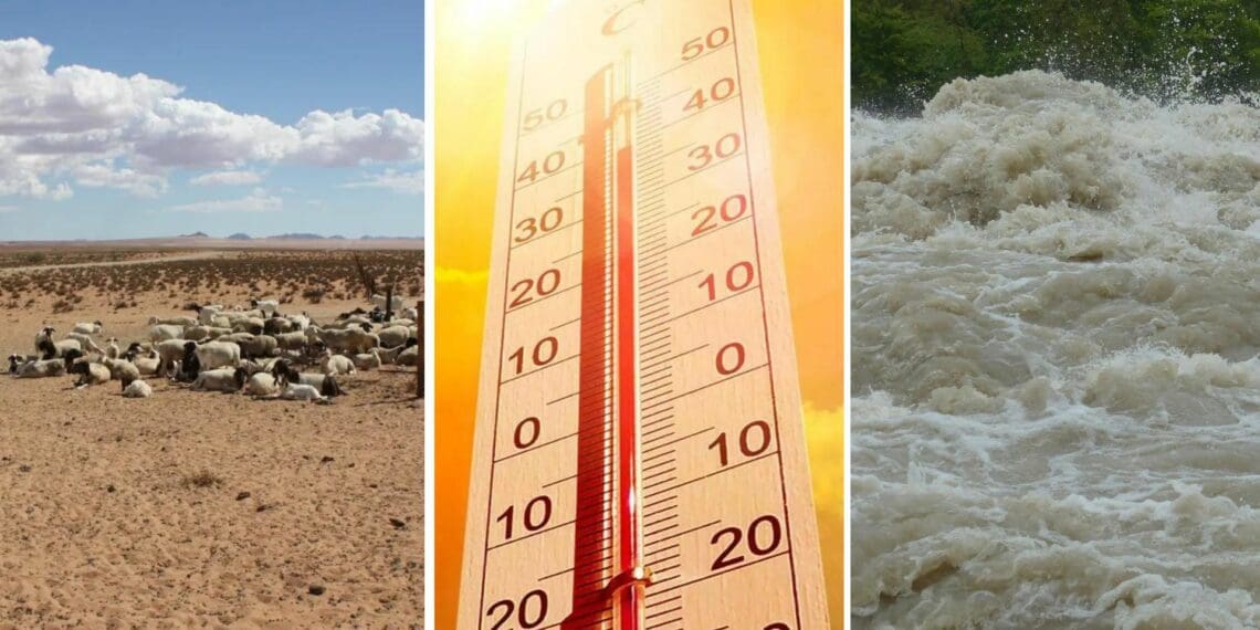 Listen up farmers! More weird weather ahead