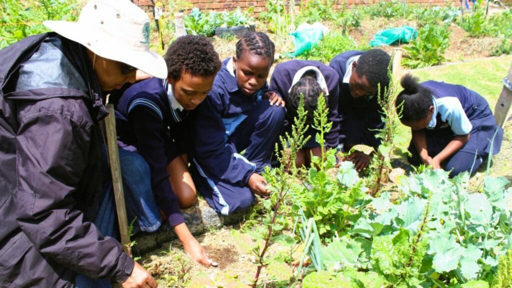 EduPlant