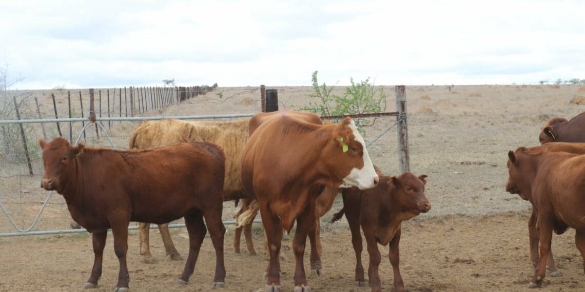 Land reform: Measuring instruments are needed