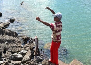 Fishing industry growth garners mixed reactions