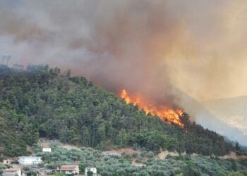 Climate change: What is South Africa’s role?
