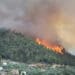 Climate change: What is South Africa’s role?