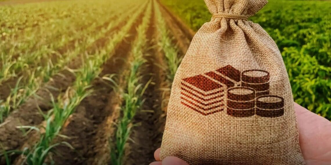 ICYMI: SA agribusinesses crying out for partners