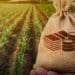 ICYMI: SA agribusinesses crying out for partners
