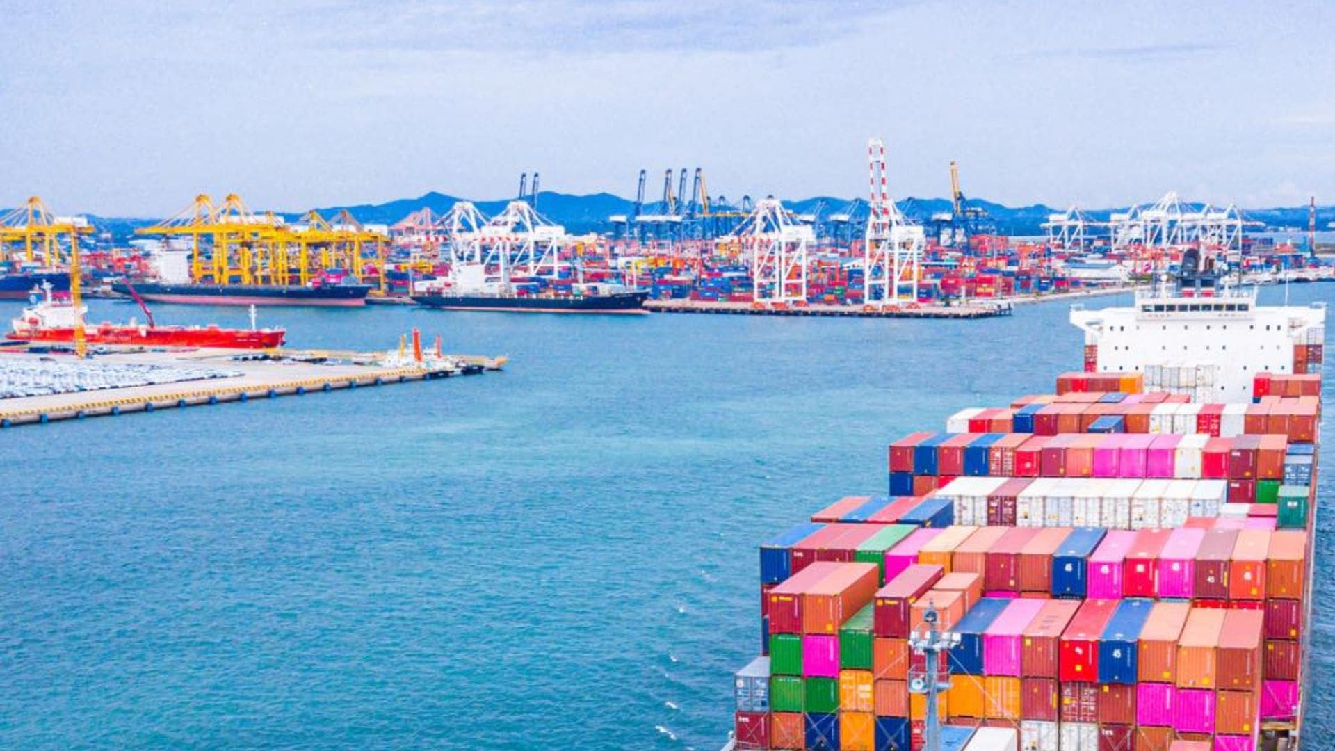 EU Green Deal shakes up SA’s agricultural export game - Food For Mzansi