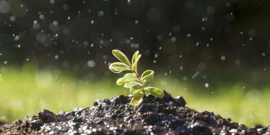 Climate change: 5 strategies to protect your farm