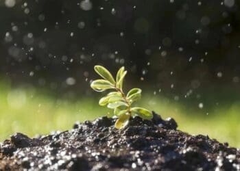 Climate change: 5 strategies to protect your farm