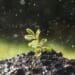 Climate change: 5 strategies to protect your farm