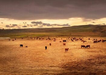 Climate change: How to arrive at system change