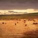 Climate change: How to arrive at system change