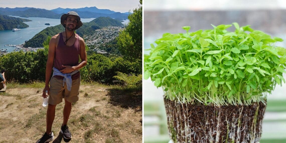 SA roots: Codi's dreams turn into microgreens