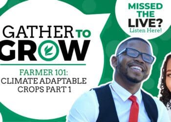 Farmer 101: Climate-resilient crops to consider