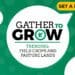 This week’s events include a Gather To Grow session on Twitter, an AfCTA Business Forum, a livestock auction, Sansor lunch, and Agra African women in regional and international Agri-Food Trade webinar. Photo: Supplied/Food For Mzansi