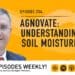 Podcast: Urban farming with an organic twist