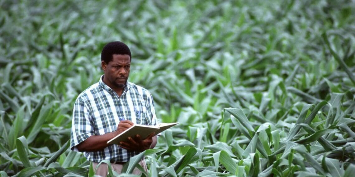 Mind the gap: Connecting farmers to consumers