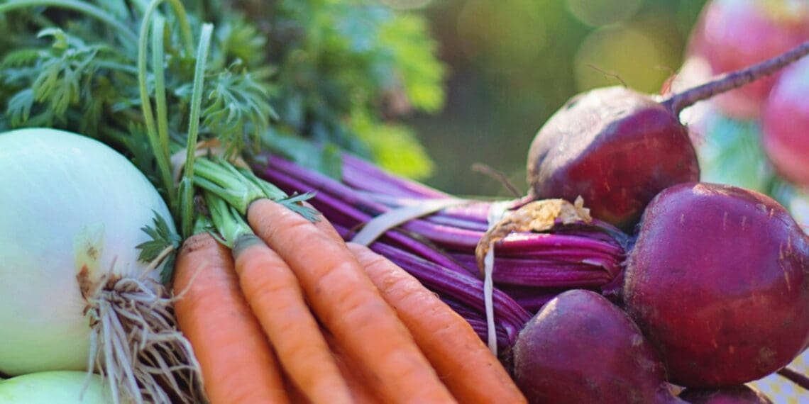 Traceability in South Africa's food system holds a range of benefits for not only food producers but consumers as well. JustinĀ Platt, founder and CEO of Zylem and RegenZ, highlights the importance of implementing end-to-end traceability in agriculture. Photo: Supplied/Justin Platt